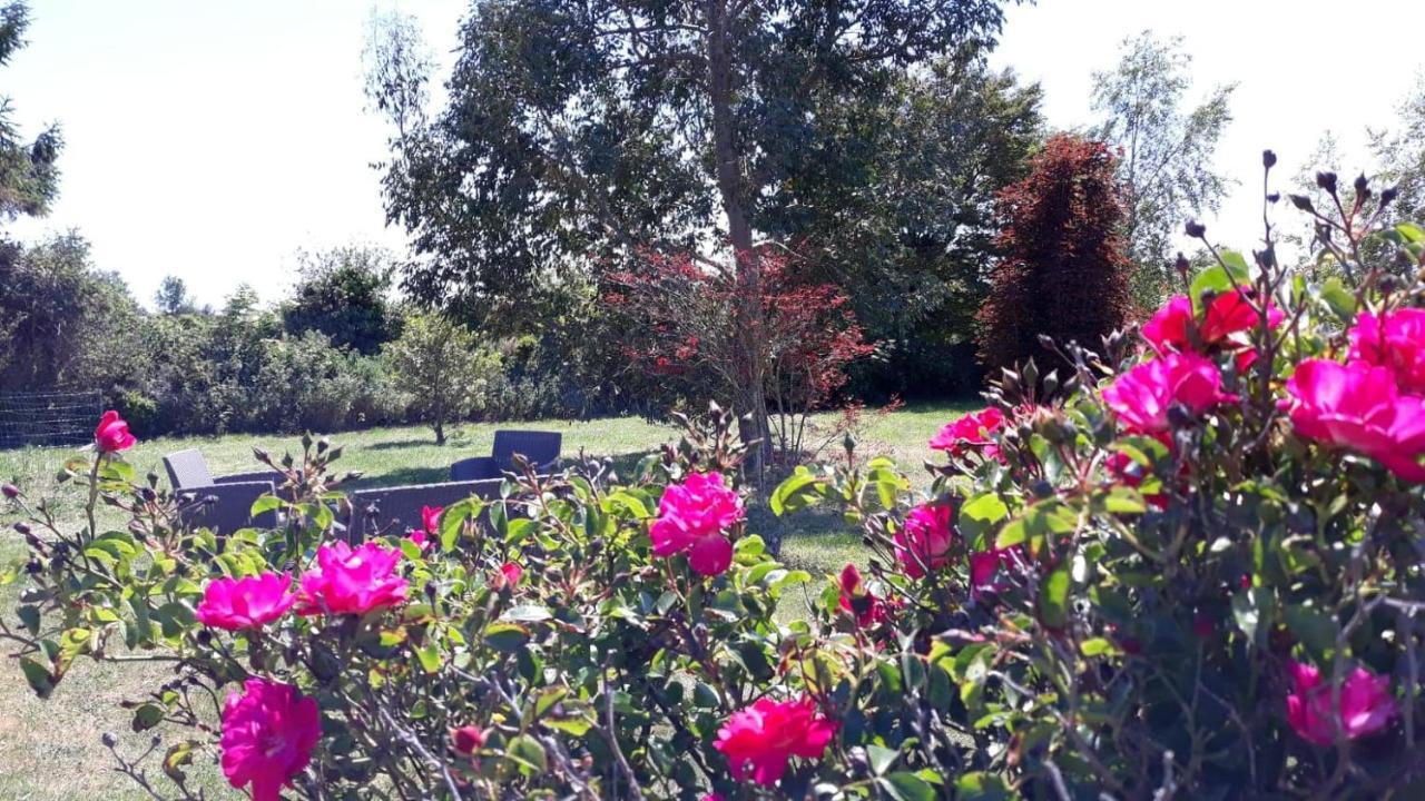 B&B Auberge Aux Marais Montmartin-en-Graignes Exteriér fotografie